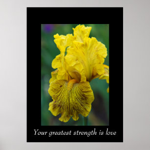 Palavras de Sabedoria Poster