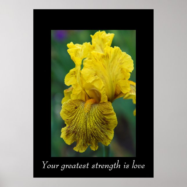 Palavras de Sabedoria Poster (Frente)