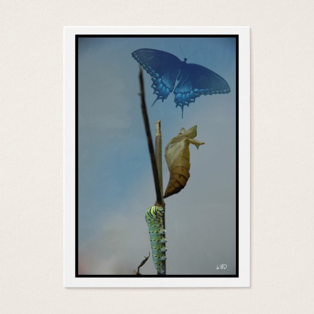 Palcos~ Borboleta ACEO Artista Cartões Comerciais (Frente)