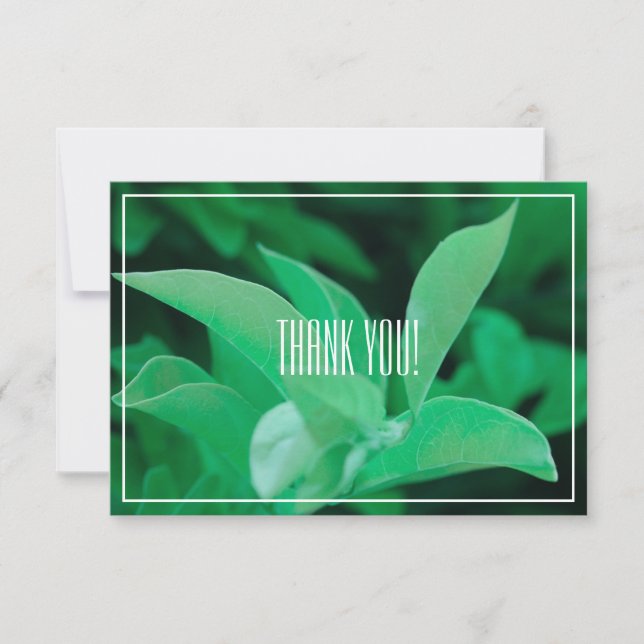 Pale Green Leaf Plant Obrigado Flat Card (Frente)