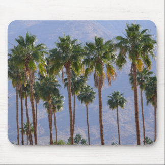 Palm Springs Mousepad de Califórnia do deserto da