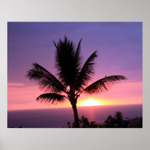 Palm Tree e Colorida Sunset Sky Poster
