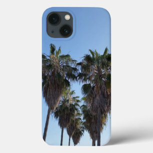 Palm Tree Heart