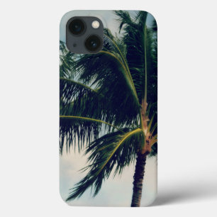 Palm Trees do Havaí