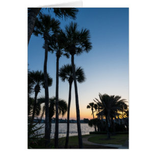 Palm Trees Sunrise Destin Flórida Cartão Saudável