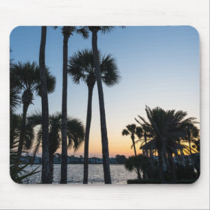 Palm Tres Sunrise Destin Flórida Mouse Pad