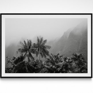 Palmas de Vintagem Tropicais Impressão de Fotograf