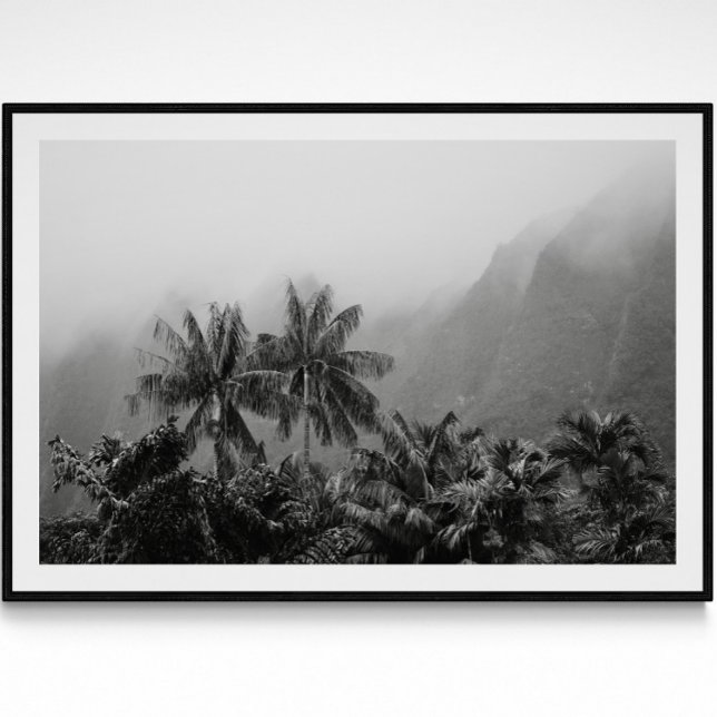 Palmas de Vintagem Tropicais Impressão de Fotograf (Criador carregado)