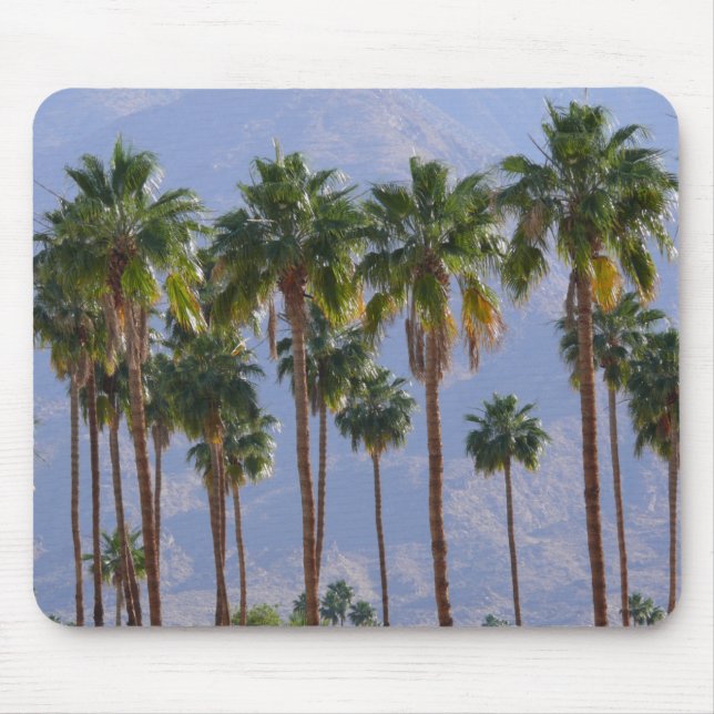 Palmeira Deserto Califórnia Palm Springs Mousepad (Frente)