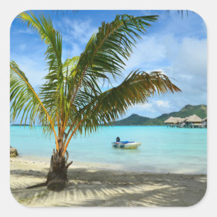 Palmeira e autocolante de resort