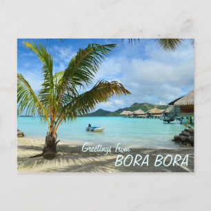 Palmeira e cartão postal de resort