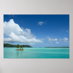 Palmeira em Bora Bora poster