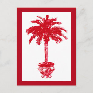 Palmeira em vaso, cartão postal vermelho escuro e 