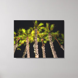 Palmeiras à noite Foto - Canvas Premium