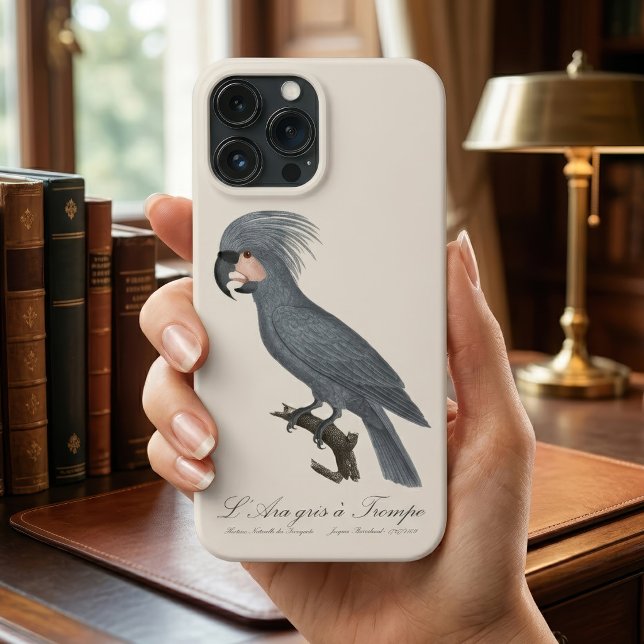 Palmito-preto, Probosciger aterrimus (Great Black Palm Cockatoo, Probosciger aterrimus. iPhone Case)