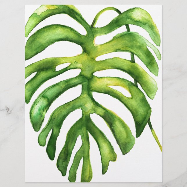 PalmVerdeDeCoresÁgua1 (Frente)