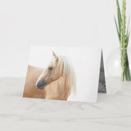 Palomino Stallion Torna Cartão Saudação Horse