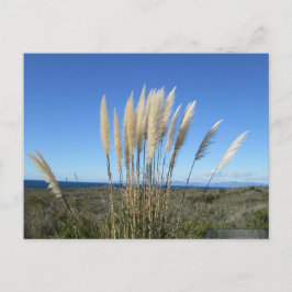 PALOS VERDES. CARTÃO POSTAL CA Nº 9