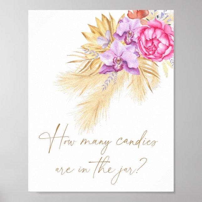 Pampas - adivinha quantas canetas Poster (Frente)