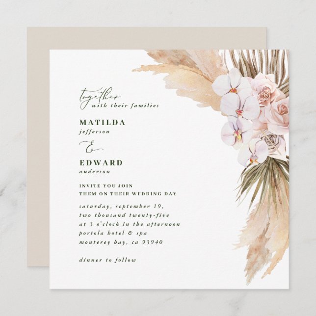 Pampas herbáceas sobremesa botânica seca natural (Frente/Verso)