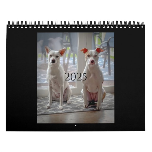Pancake e ordenhação, calendário médio (Capa)
