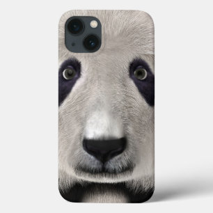 Panda Bear