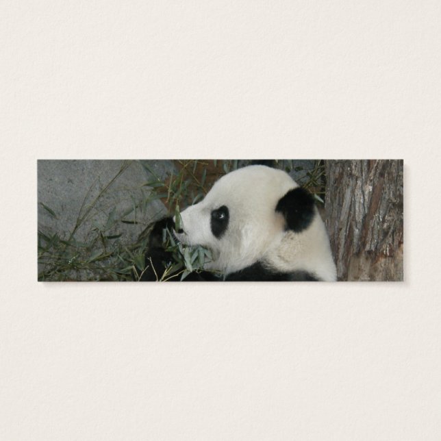 Panda Bookmark (Verso)