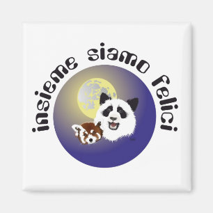 Panda encontro íman