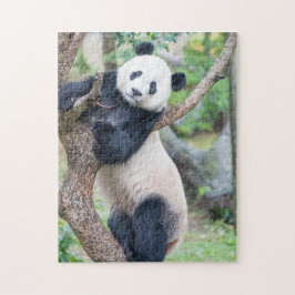 Panda Gigante Saindo Em Uma Quebra-cabeça De Árvor