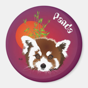 Panda pequena íman (Ailurus fulgens)
