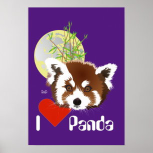 Panda pequena poster (Ailurus fulgens)