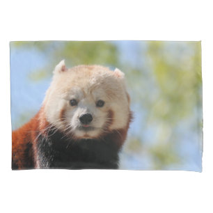 Panda Vermelha