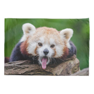 Panda vermelha