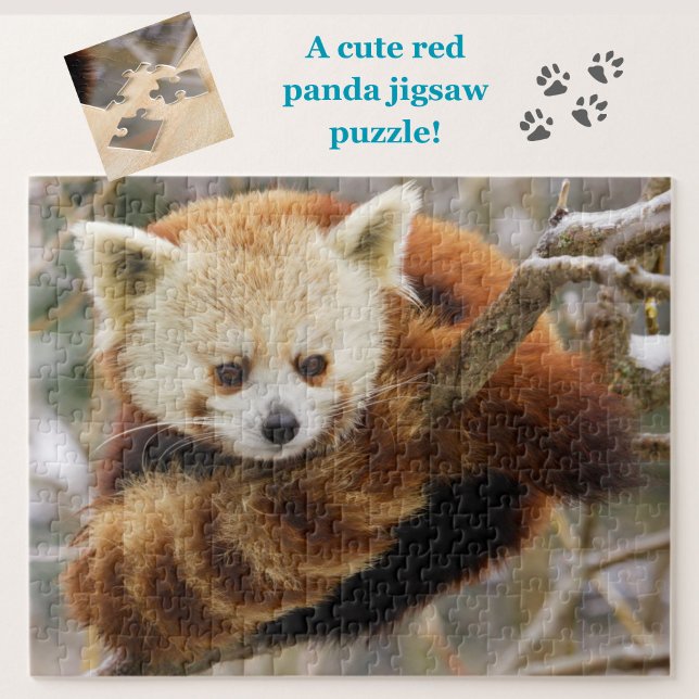 Panda Vermelha Bonita na Árvore Neve Quebra-cabeça (A cute red panda jigsaw puzzle, great for animal lovers!)