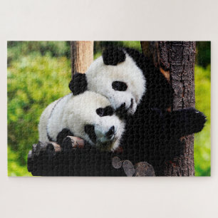 Pandas de Bebê Brincadeiras, Quebra-cabeça de Ji