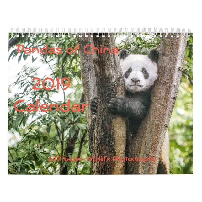 Pandas de China, calendário de parede 2019 (Capa)
