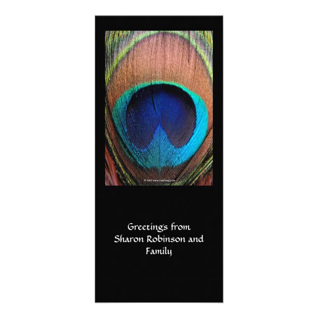 Panfleto Azuis ricos da pena macro do pavão fotográficos (Frente)