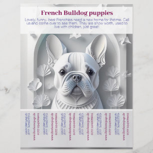 Panfleto de Filhote de Bulldog Francês 