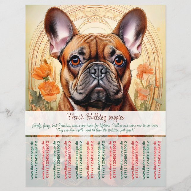 Panfleto de Filhote de Bulldog Francês  (Frente)