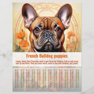 Panfleto de Filhote de Bulldog Francês