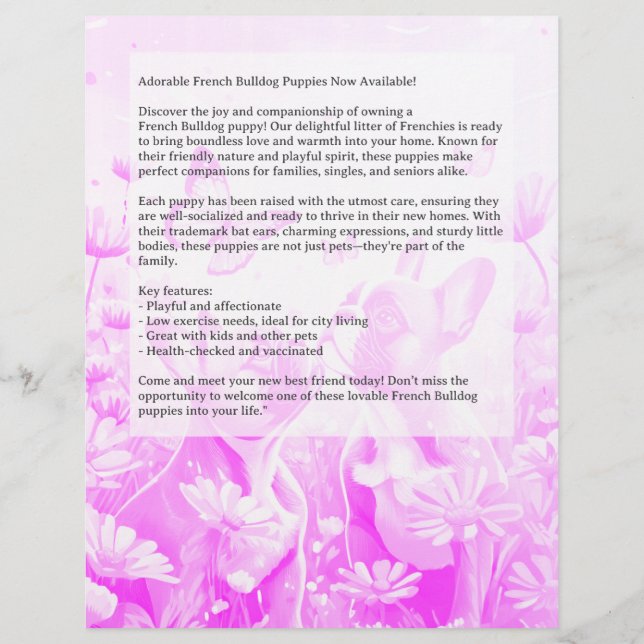 Panfleto de Filhote de Bulldogue Francês  (Verso)