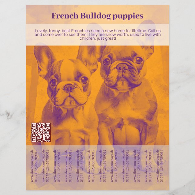 Panfleto de Filhote de Bulldogue Francês  (Frente)