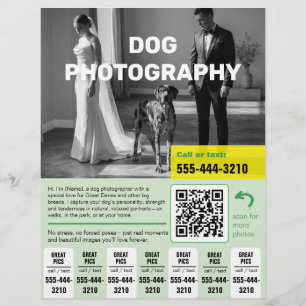 Panfleto de Fotógrafo de Cachorro