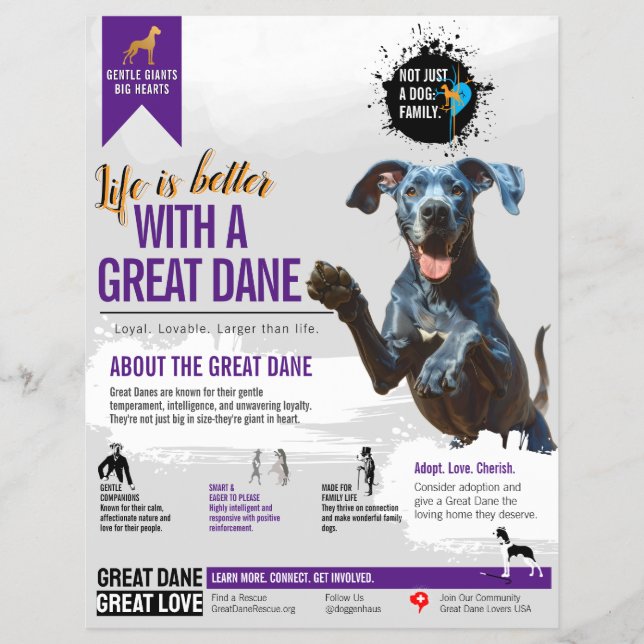 Panfleto de informações do Great Dane  (Frente)