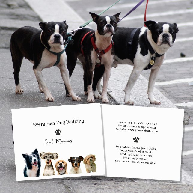 Panfleto de Serviço Profissional de Passeio de Cãe (Criador carregado)