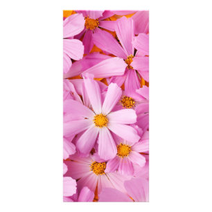 Panfleto Flores Rosa