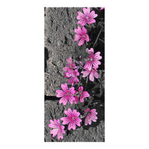 Panfleto Flores roxas