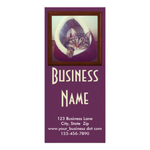 Panfleto Gatinho do gato malhado na fotografia do Fim-Acima