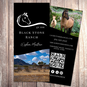 Panfleto Logotipo equestre do rancho equestre