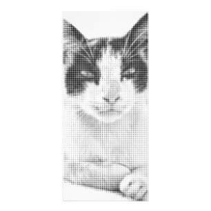 Panfleto Meio-tom Calico Vintage